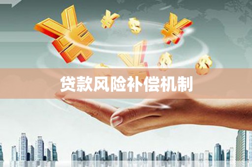 津南贷款风险补偿机制