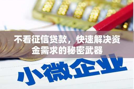 津南不看征信贷款，快速解决资金需求的秘密武器