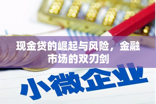 津南现金贷的崛起与风险，金融市场的双刃剑
