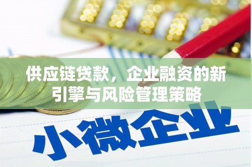 津南供应链贷款，企业融资的新引擎与风险管理策略