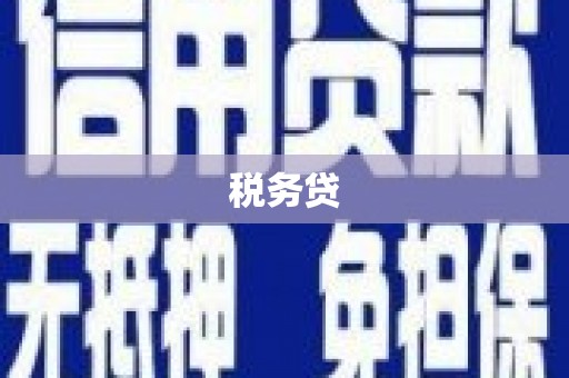 津南税务贷