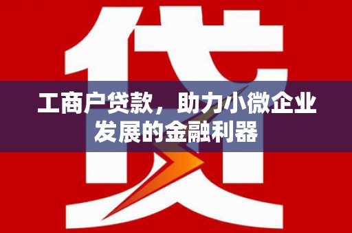 津南工商户贷款，助力小微企业发展的金融利器