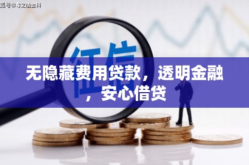 津南无隐藏费用贷款，透明金融，安心借贷