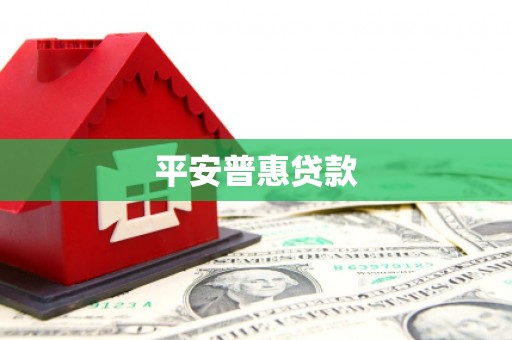津南平安普惠贷款