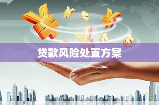 津南贷款风险处置方案