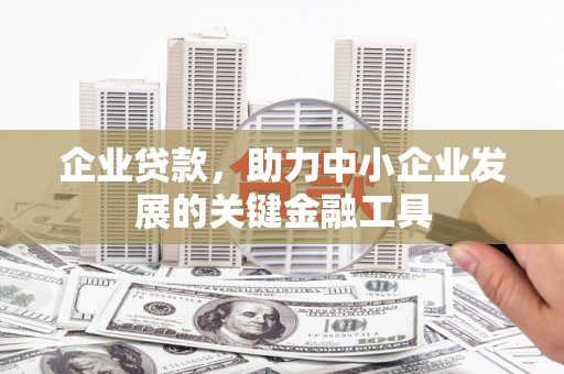 津南企业贷款，助力中小企业发展的关键金融工具