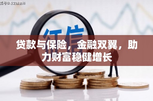 津南贷款与保险，金融双翼，助力财富稳健增长