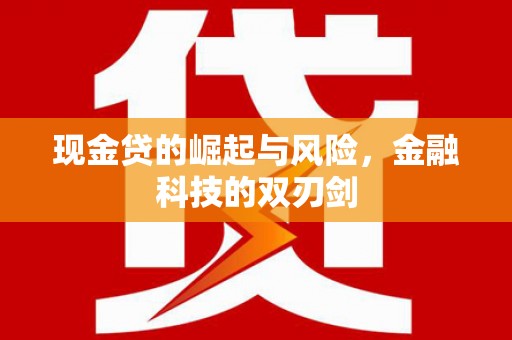 津南现金贷的崛起与风险，金融科技的双刃剑