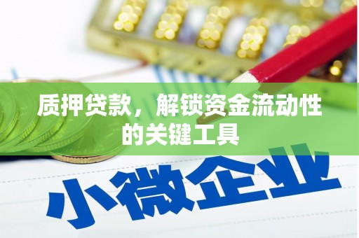 津南质押贷款，解锁资金流动性的关键工具