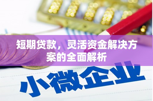 津南短期贷款，灵活资金解决方案的全面解析