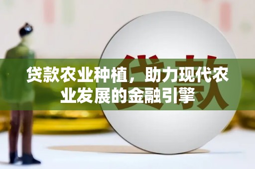 津南贷款农业种植，助力现代农业发展的金融引擎