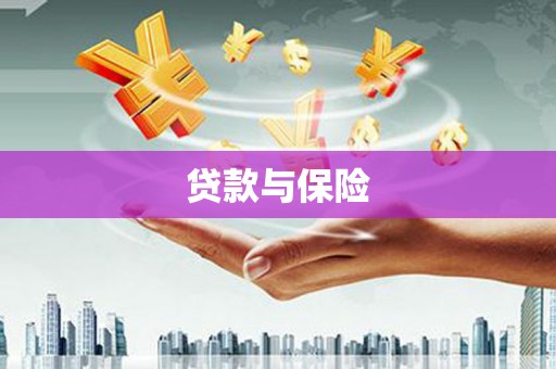 津南贷款与保险
