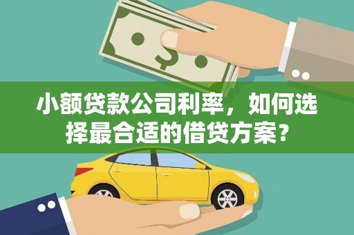 津南小额贷款公司利率，如何选择最合适的借贷方案？