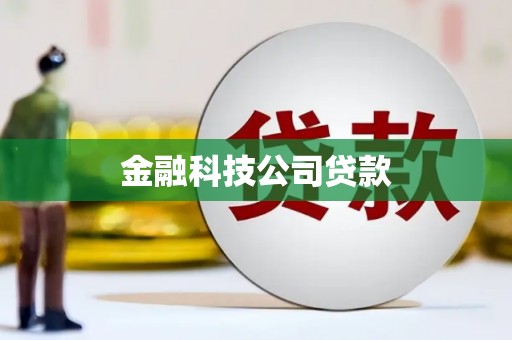 津南金融科技公司贷款