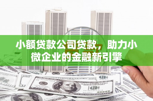 津南小额贷款公司贷款，助力小微企业的金融新引擎