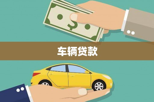 津南车辆贷款