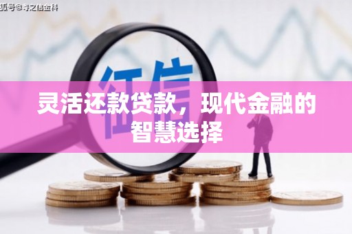 津南灵活还款贷款，现代金融的智慧选择
