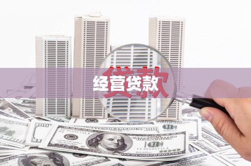 津南经营贷款