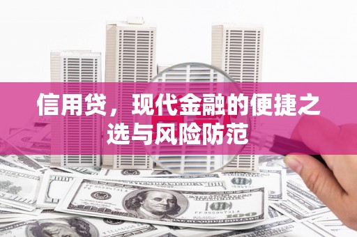 津南信用贷，现代金融的便捷之选与风险防范