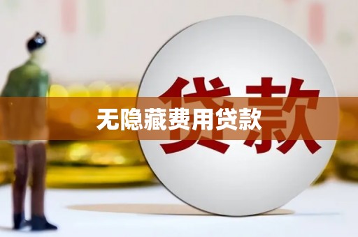 津南无隐藏费用贷款