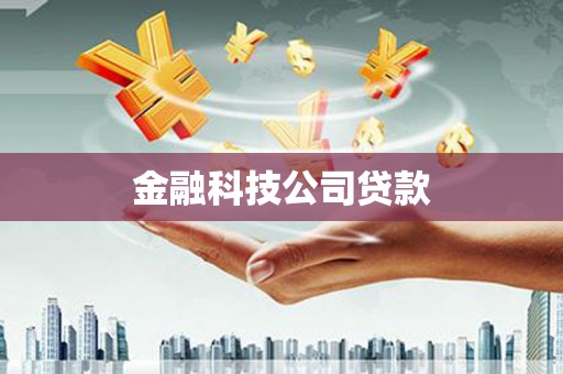 津南金融科技公司贷款