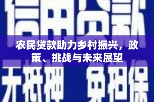 津南农民贷款助力乡村振兴，政策、挑战与未来展望