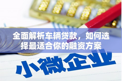 津南全面解析车辆贷款，如何选择最适合你的融资方案