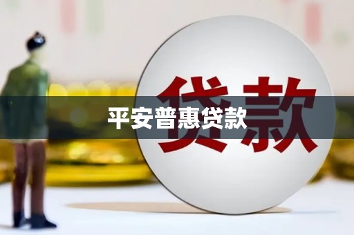 津南平安普惠贷款