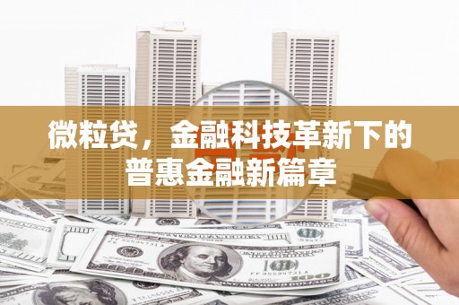 津南微粒贷，金融科技革新下的普惠金融新篇章