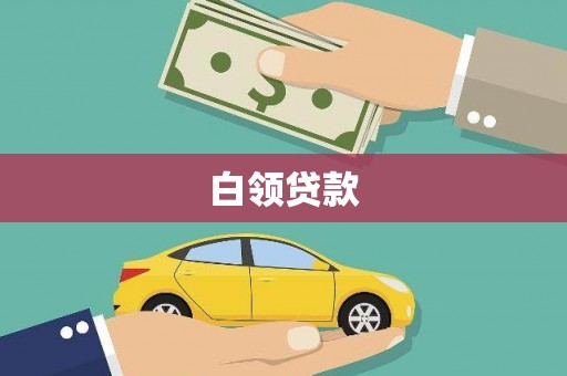 津南白领贷款