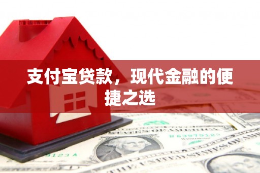 津南支付宝贷款，现代金融的便捷之选