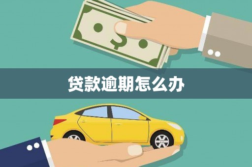 津南贷款逾期怎么办