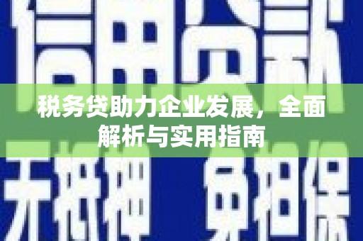 津南税务贷助力企业发展，全面解析与实用指南