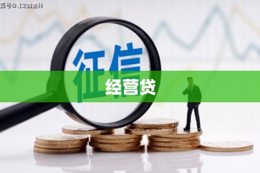 津南经营贷