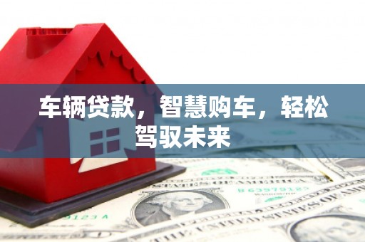 津南车辆贷款，智慧购车，轻松驾驭未来