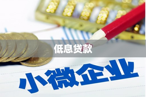 津南低息贷款
