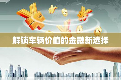 津南解锁车辆价值的金融新选择