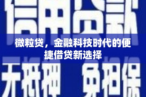 津南微粒贷，金融科技时代的便捷借贷新选择