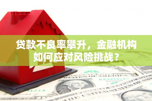津南贷款不良率攀升，金融机构如何应对风险挑战？
