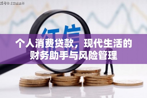 津南个人消费贷款，现代生活的财务助手与风险管理