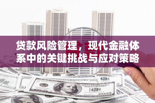 津南贷款风险管理，现代金融体系中的关键挑战与应对策略