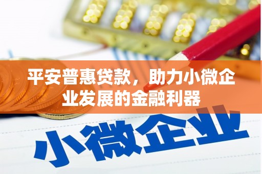津南平安普惠贷款，助力小微企业发展的金融利器