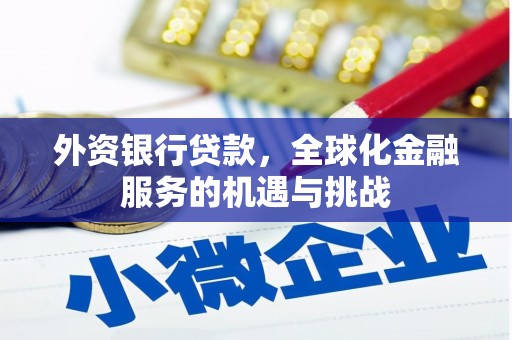 津南外资银行贷款，全球化金融服务的机遇与挑战