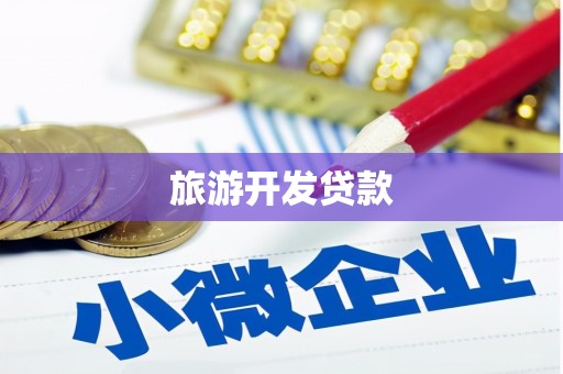 津南旅游开发贷款