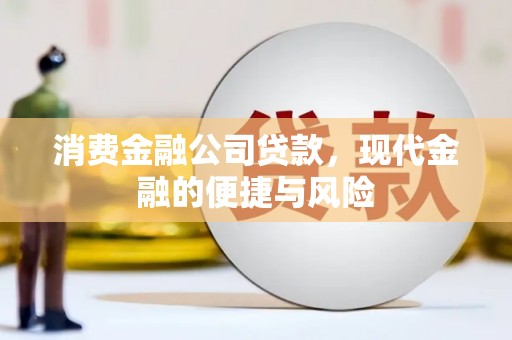 津南消费金融公司贷款，现代金融的便捷与风险