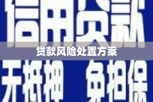 津南贷款风险处置方案