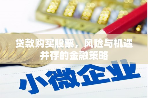 津南贷款购买股票，风险与机遇并存的金融策略