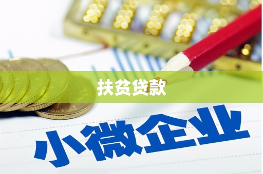 津南扶贫贷款