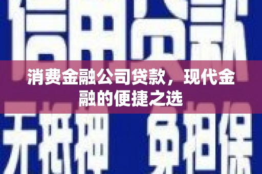 津南消费金融公司贷款，现代金融的便捷之选