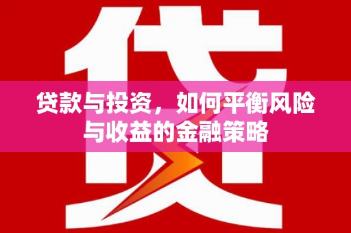 津南贷款与投资，如何平衡风险与收益的金融策略